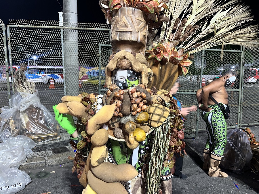 Terceiro setor da Mangueira abordou a importância da medicina alternativa para curar o mal-estar do dia a dia 1 danielle Mangueira