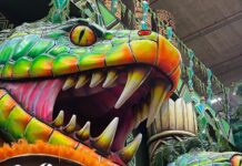 Série Barracões: Dragões apresenta primeiro enredo indígena da escola