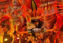 Dragões da Real 2026: Galeria de fotos do desfile