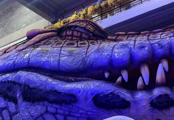 gavioes barracao26 2