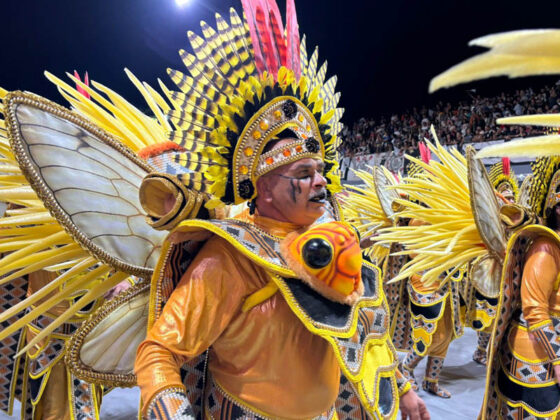 gavioesdafiel desfile26 20