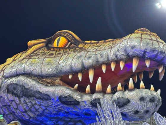 gavioesdafiel desfile26 8