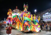 Grande Rio 2026: galeria de fotos do desfile