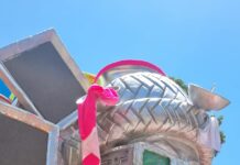 Grande Rio 2026: alegorias na área de concentração