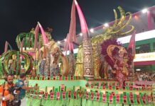 Imperatriz do Forte encerra a noite com desfile focado na sobrevivência