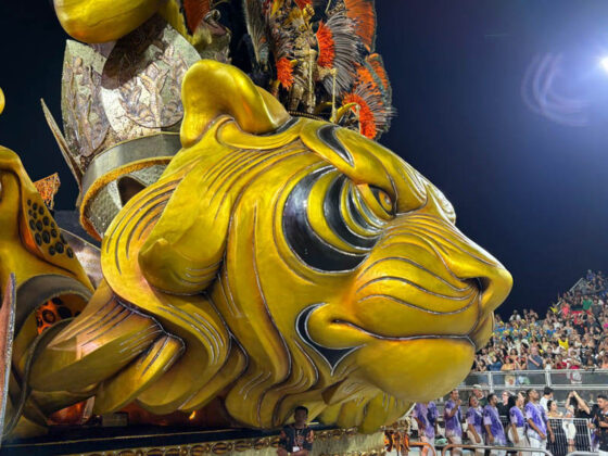 imperiodecasaverde desfile26 21