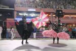 jacarezinho_desfile_2026_06
