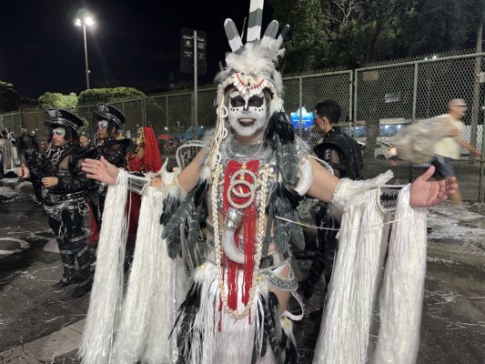 Ala da Imperatriz celebra múltiplas peles de Ney Matogrosso em manifesto de liberdade na Avenida 4 luzimar aragao