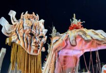 Componentes da MUM comemoram desfile e interação com o público