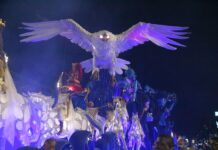 Portela 2026: Galeria de fotos do desfile