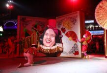 Salgueiro 2026: galeria de fotos do desfile