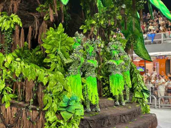 tatuape desfile26 12