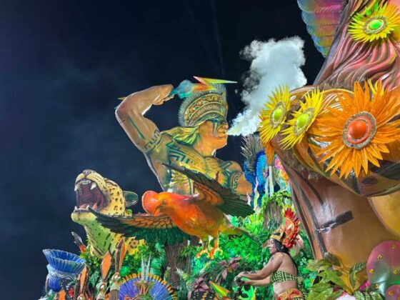 tatuape desfile26 28