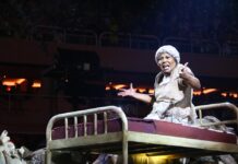 ‘A gente chegou perto e a comunidade merecia muito’, declara Elisa Fernandes, da Tijuca