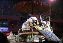 Tijuca 2026: galeria de fotos do desfile