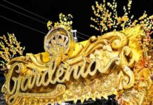 Tradição aposta na alegria e vence imprevistos em desfile vibrante na Intendente