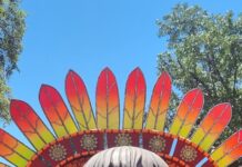 Unidos de Padre Miguel 2026: alegorias na área de concentração