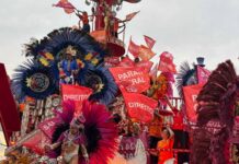 Vai-Vai 2026: Galeria de fotos do desfile