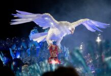 Entre frustração e esperança, portelenses pedem reorganização após 10º lugar no Carnaval 2026