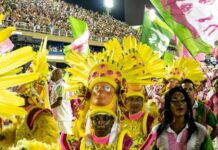Quando a avenida virou estádio: os enredos que cantaram a Seleção Brasileira