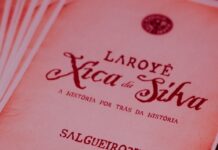 Salgueiro 2027: leia a sinopse do enredo