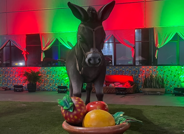 Público aprova Festa Julina da Liga-SP e elogia organização, estrutura e atrações 5 festajulina26 5