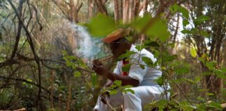 Morro da Casa Verde mergulha na Jurema Sagrada e levará a história do Catimbó ao Anhembi no Carnaval 2027