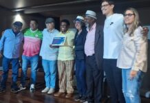 Neguinho da Beija-Flor relembra trajetória histórica e faz forte defesa dos profissionais do carnaval