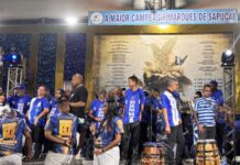 Análise: Confira como passaram os sambas na segunda eliminatória da Beija Flor