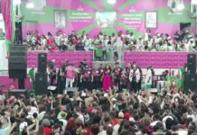 Entre o samba e o ódio virtual: profissionais defendem artistas do carnaval diante de ataques nas redes sociais