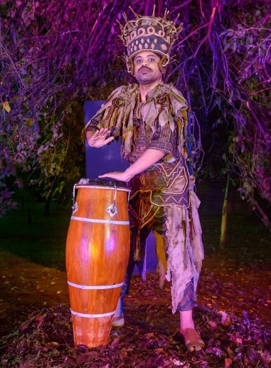 fantasias tucuruvi27 11