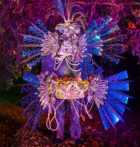 fantasias tucuruvi27 12