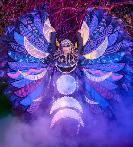 fantasias tucuruvi27 14