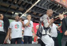 Parceria de Derê brilha na semifinal da Grande Rio