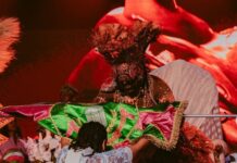 Mangueira é eleita pelos leitores do CARNAVALESCO como o melhor enredo do Grupo Especial para o Carnaval 2027