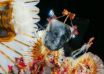 Com 99% das plumas artificiais, Beija-Flor se antecipa ao debate nacional sobre o uso de itens de origem animal no carnaval