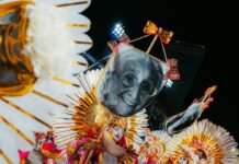 Com 99% das plumas artificiais, Beija-Flor se antecipa ao debate nacional sobre o uso de itens de origem animal no carnaval