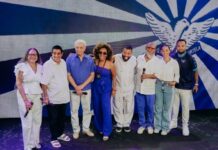 Paulinho da Viola, Zeca Pagodinho e Diogo Nogueira dão voz ao samba da Portela para 2027 em homenagem a Monarco