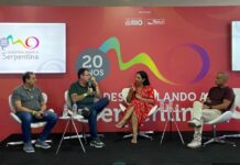 Carnaval de Rua 2027: licenciamento, infraestrutura e direitos autorais entram em debate